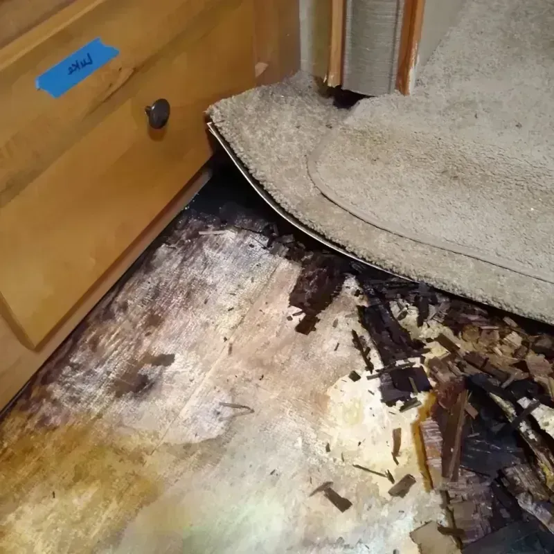 Wood Floor Water Damage in Essex County, NJ